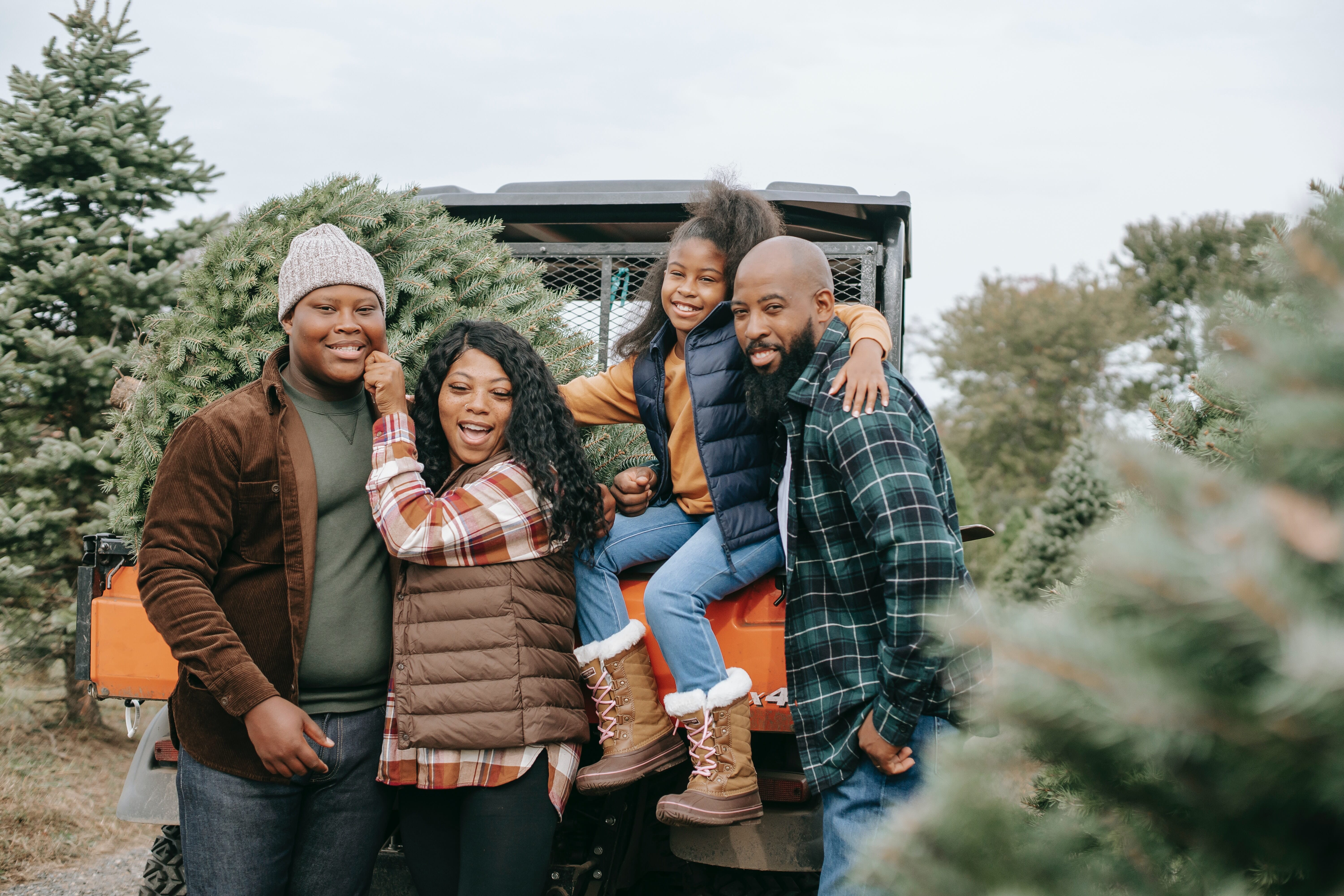  Earth tones  color scheme