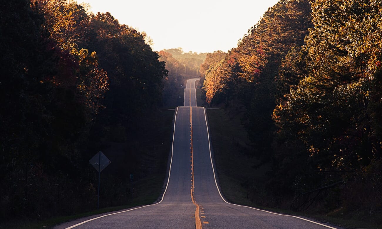 Wide angle photograph of a road stretching into autumn trees, showing dramatic perspective convergence