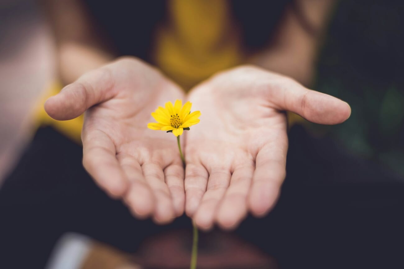 Two open hands hold a single yellow daisy-like flower against a soft out-of-focus background with a bokeh blur of the person's clothing in yellow and green.