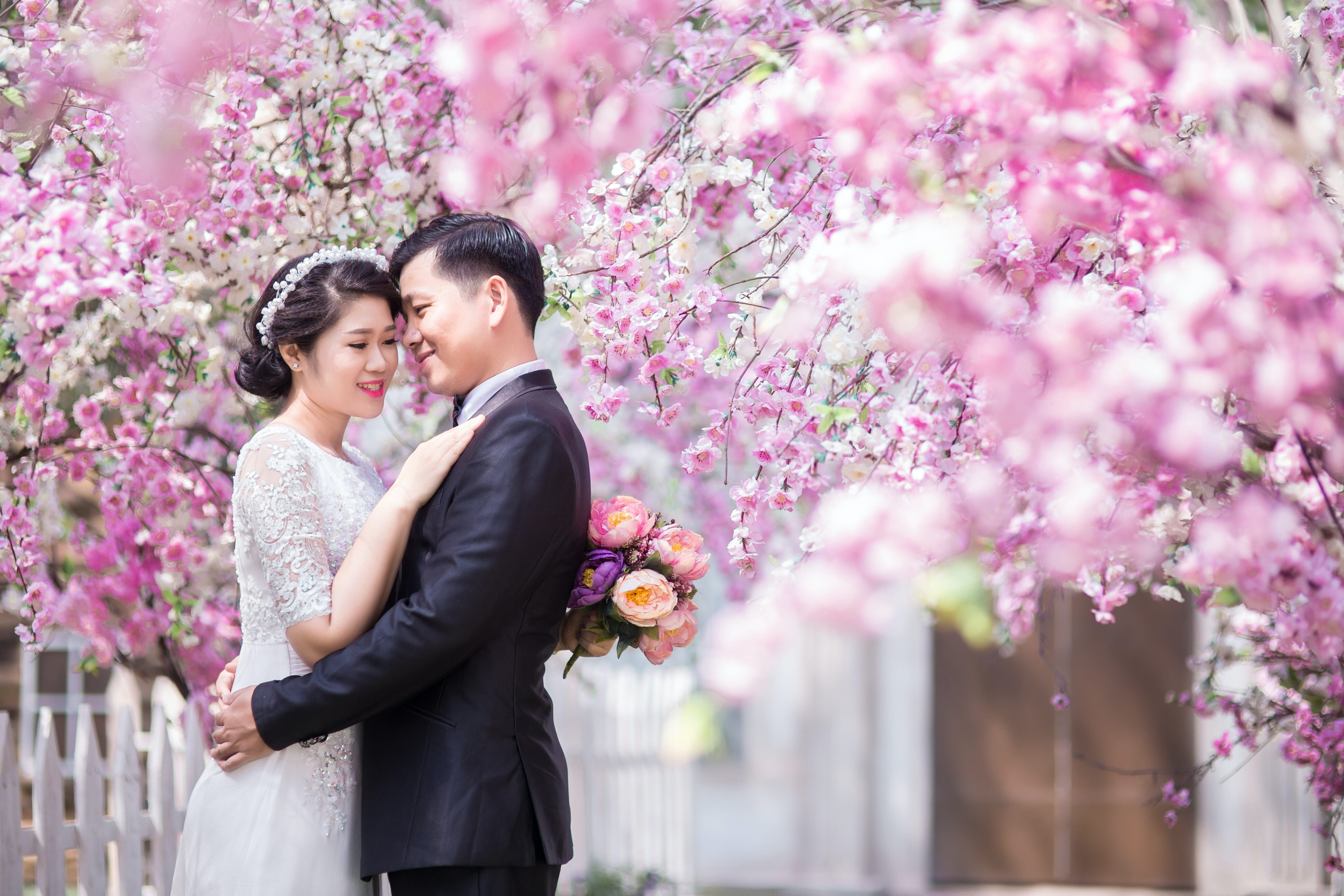 Cherry blossoms are very romantic!