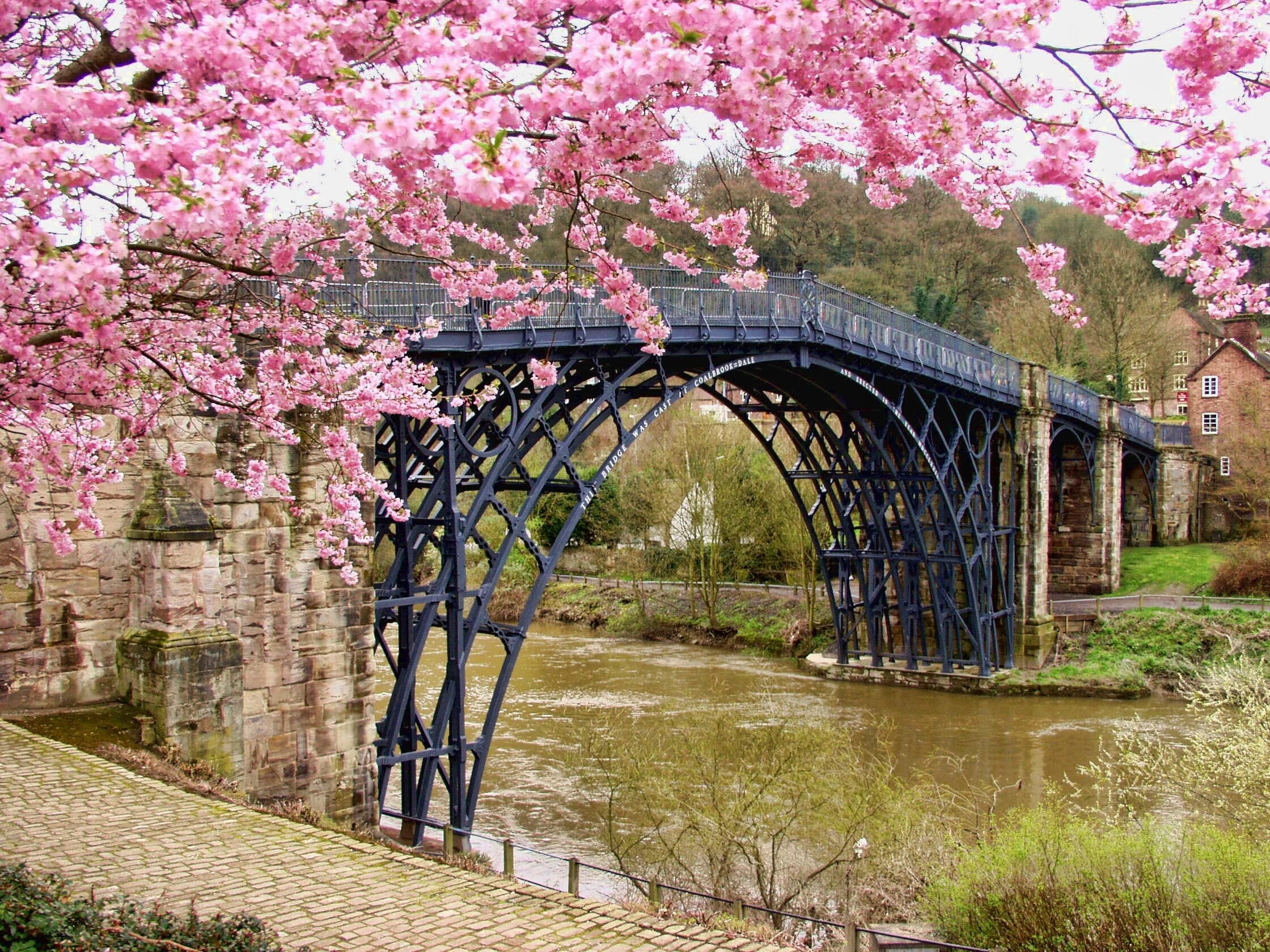 There are parks all over the USA with cherry blossoms.
