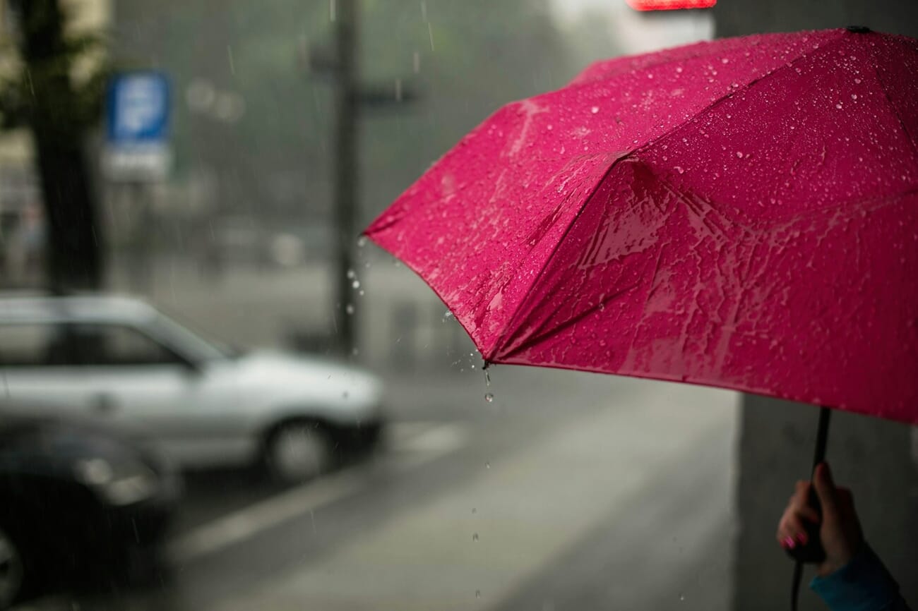 Bright pink umbrella standing out against a muted grey rainy street, demonstrating how a single bold color becomes the focal point