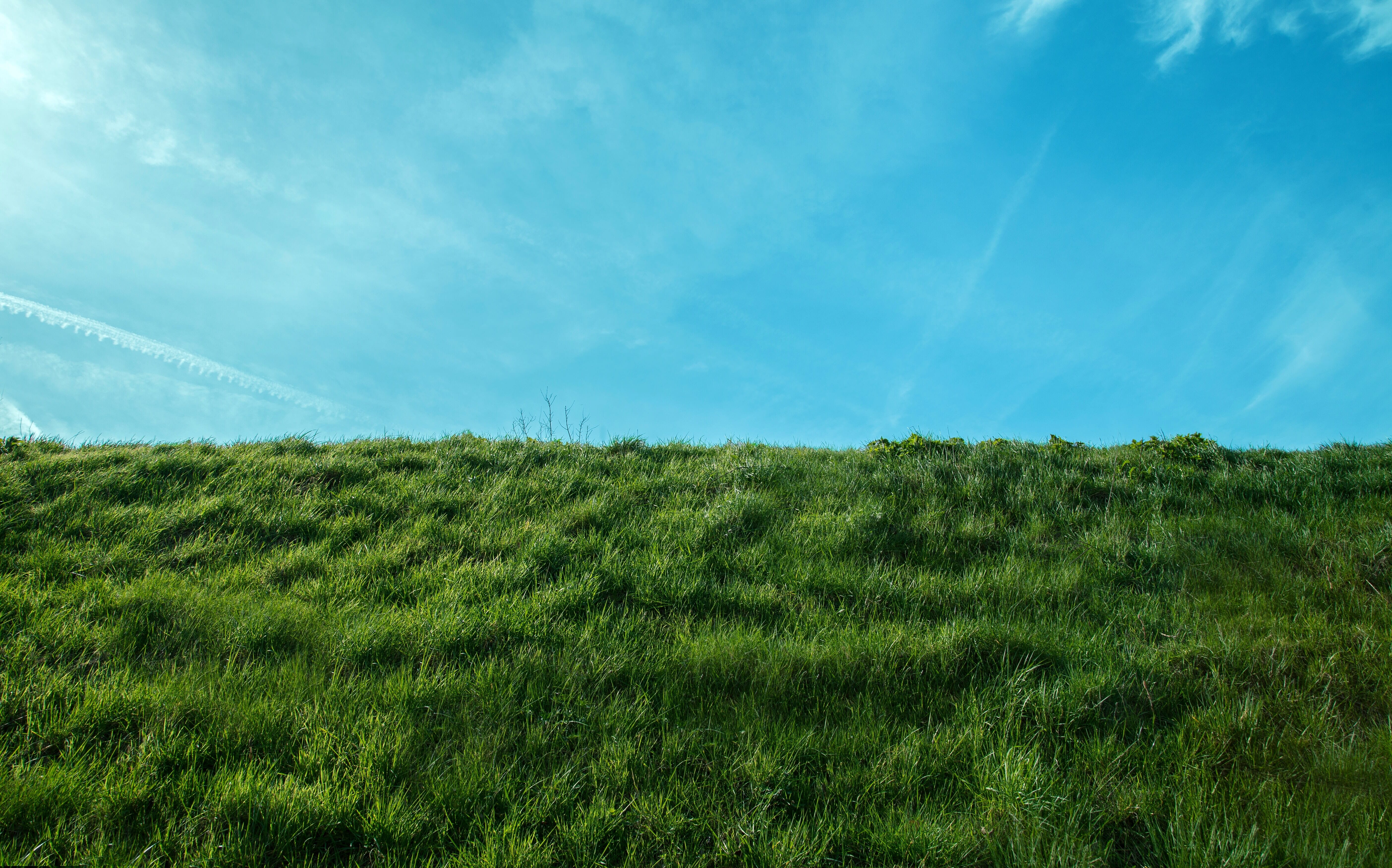 Green grass on a hill against a bright blue sky with wisps of clouds.