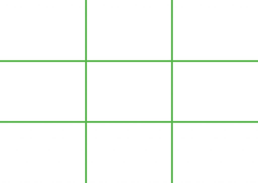 The rule of thirds overlay in green.