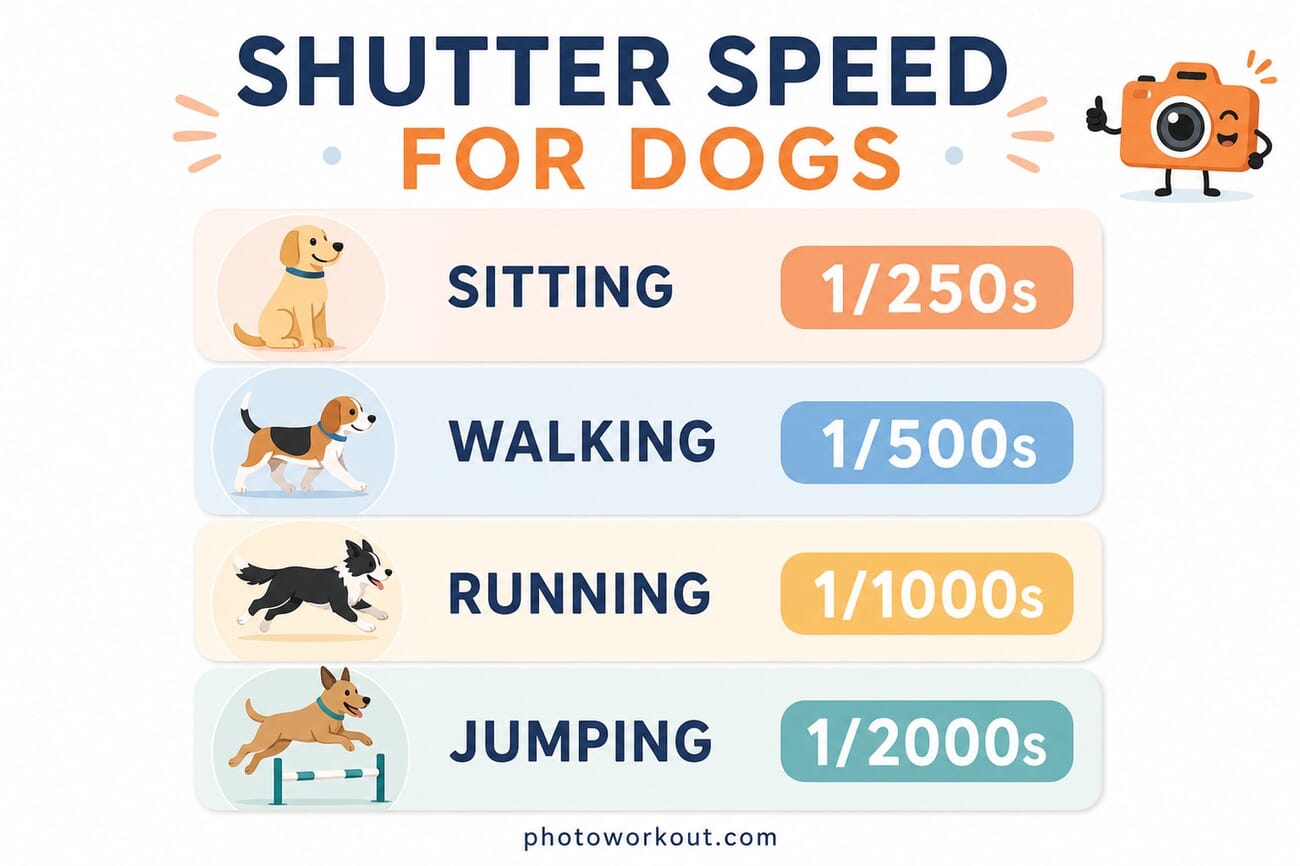 Shutter speed guide for dogs: 1/250s sitting, 1/500s walking, 1/1000s running, 1/2000s jumping