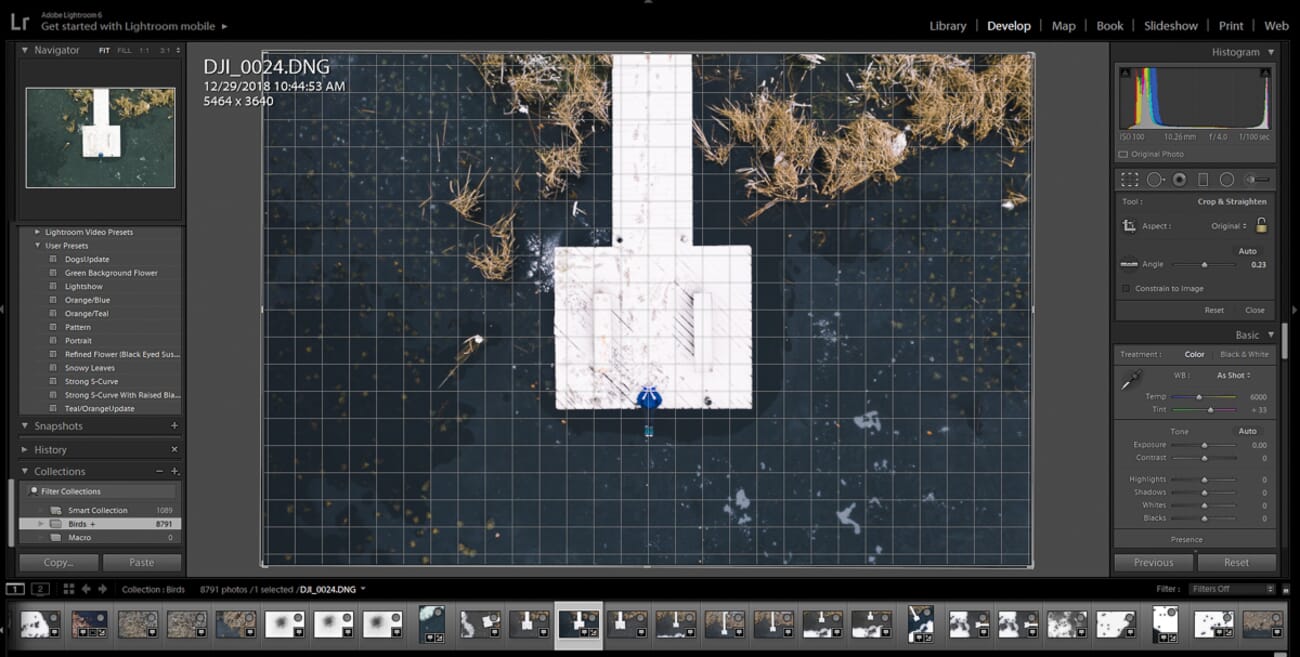 Using Lightroom Classic's straighten tool