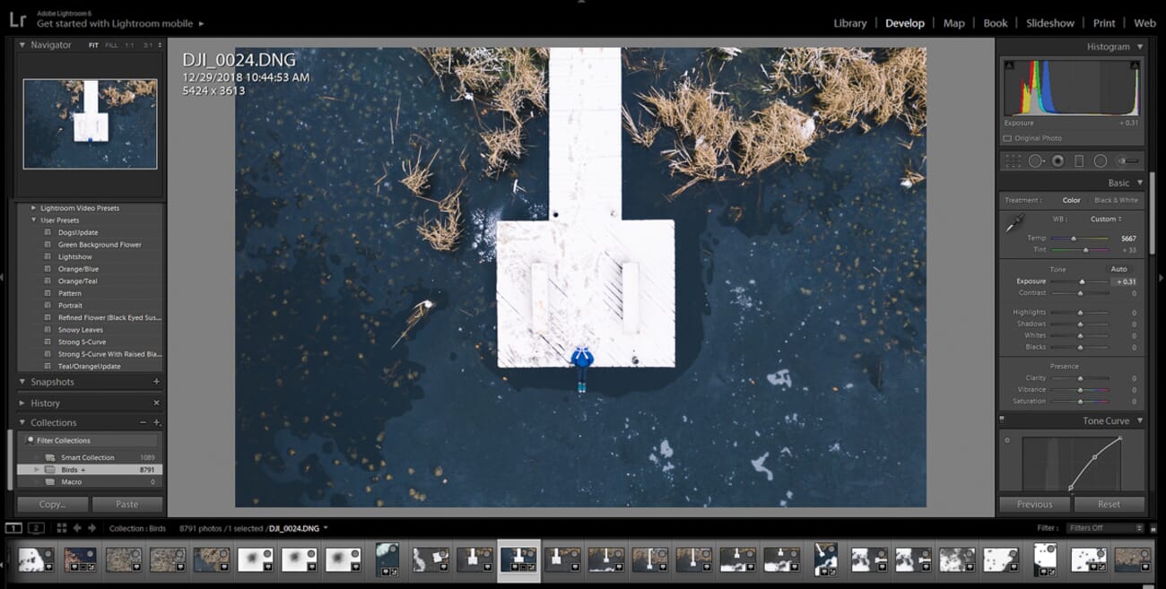 Overexposed — whites are blown out