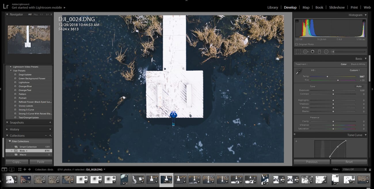 Well-exposed — detail preserved throughout