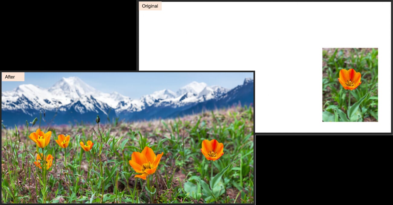 A tiny tulip close-up photo expanded into a panoramic mountain landscape using Photoshop Generative Expand
