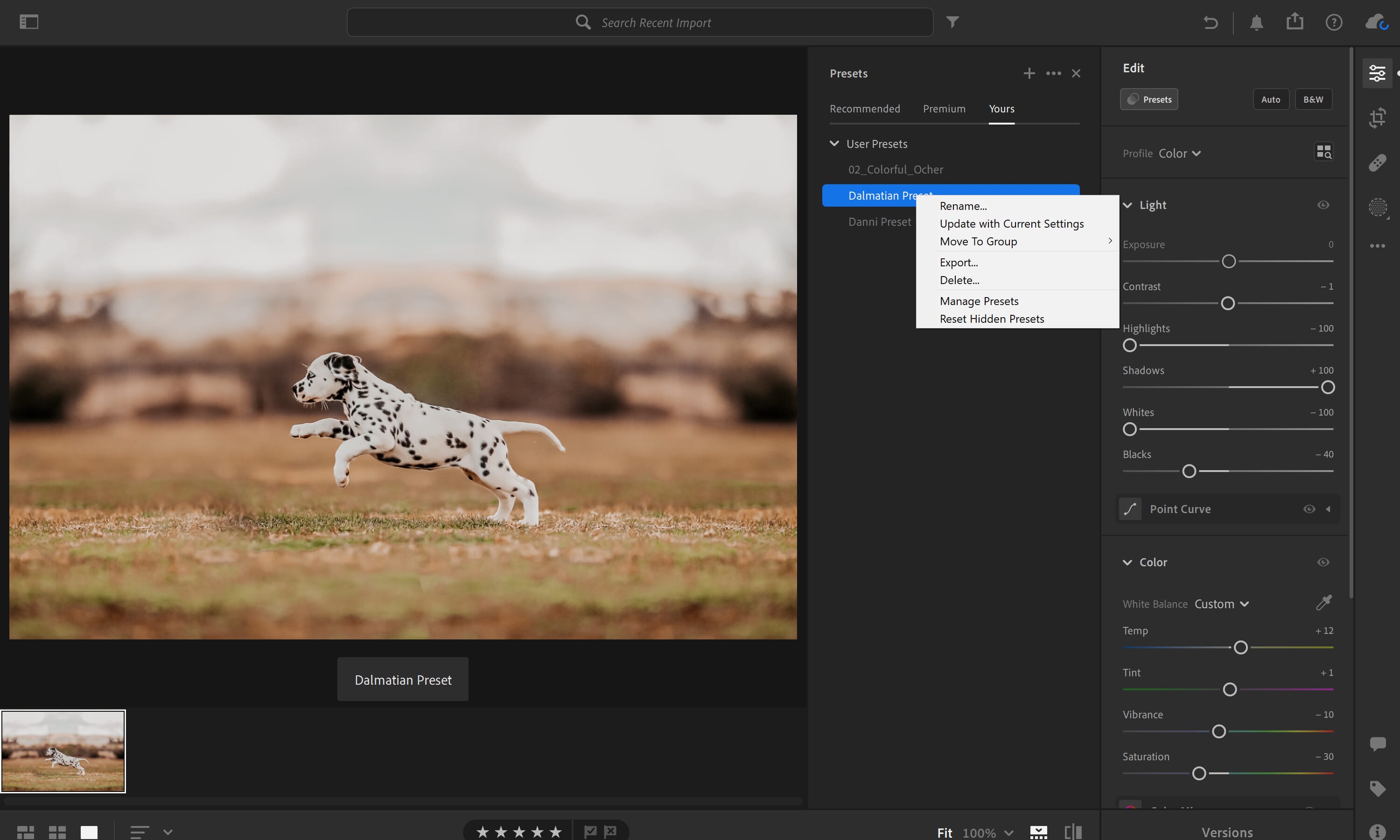 Exporting your preset is simple!