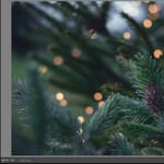 Selling Lightroom Presets: A Step-By-Step Guide (Plus Tips)