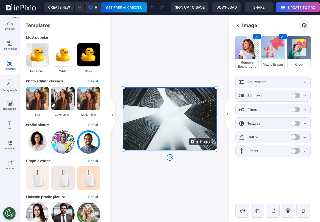 Landscape photo loaded in InPixio online editor showing editing tools