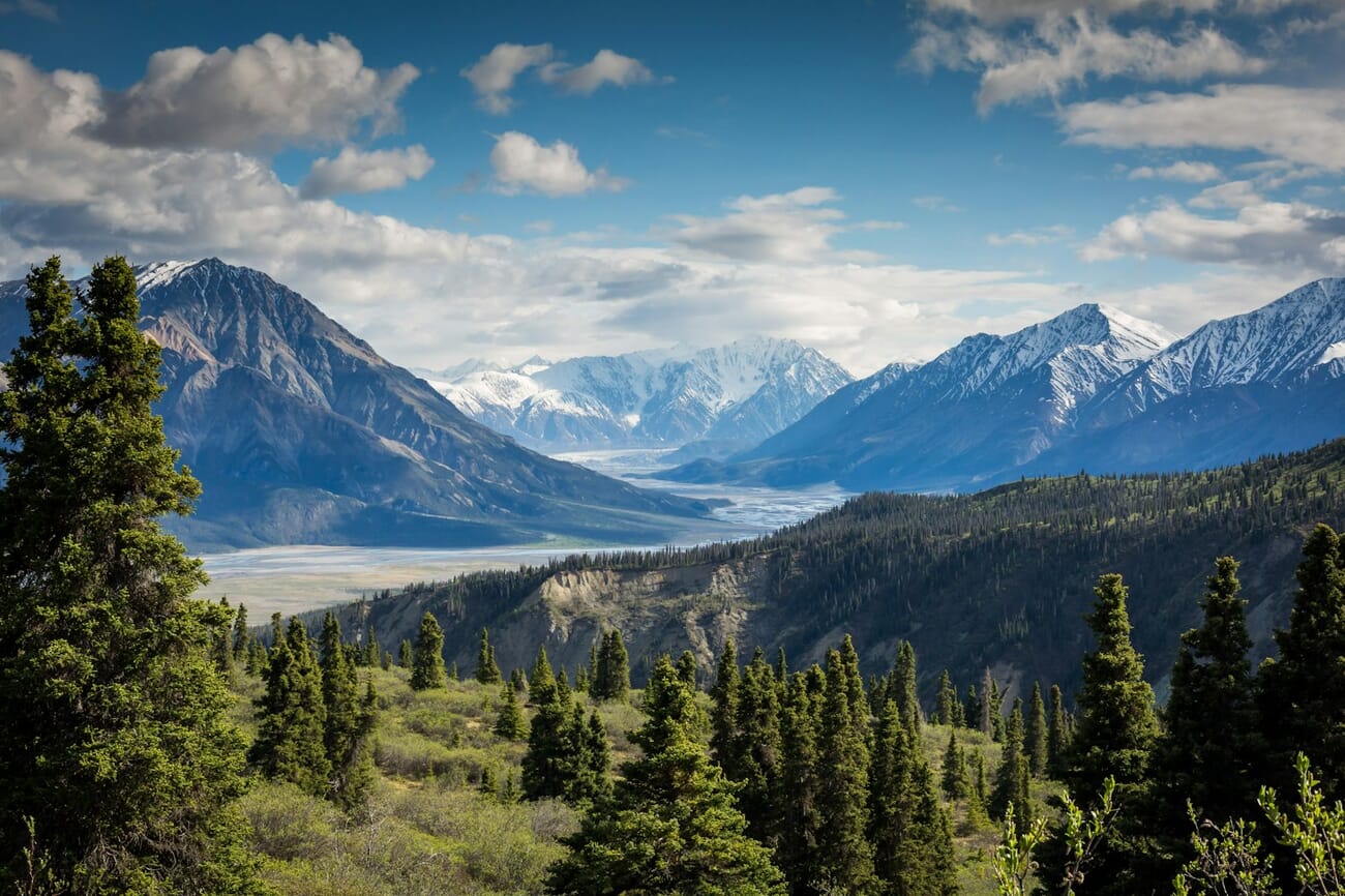 Mountain vista with deep depth of field from foreground trees to distant peaks