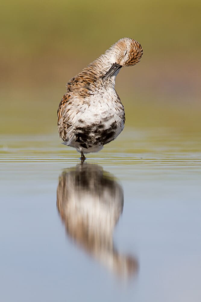 Once you learn the right techniques, you'll start taking amazing photos, consistently.