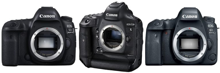 Three popular Canon DSLR cameras.
