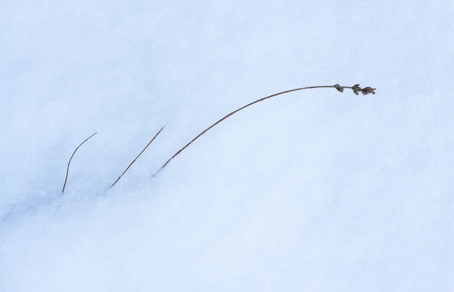 How do you capture a sharp photo?