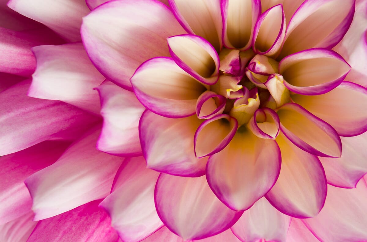 Manual mode is perfect for moments when you need ultimate control over your camera settings.