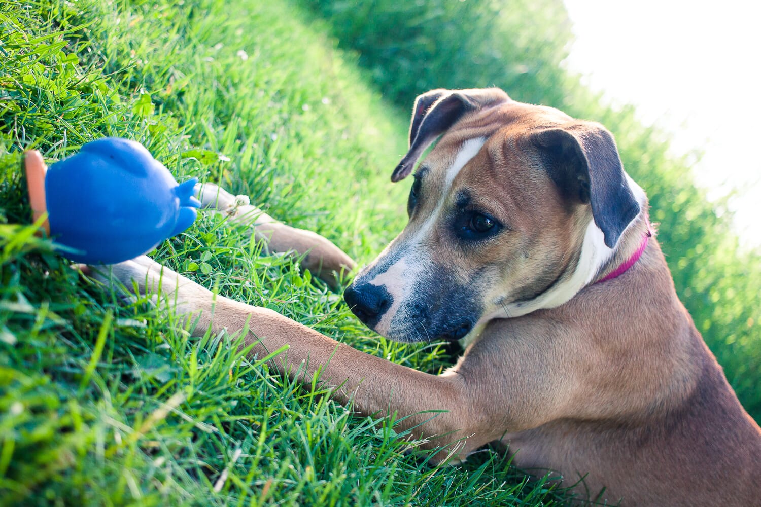 If you learn certain camera settings, you'll be able to capture powerful photos like this one.