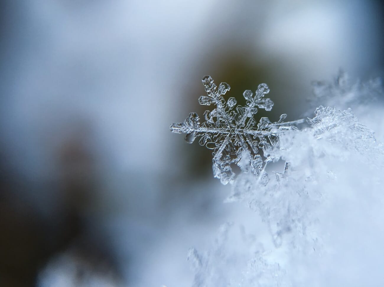 Intricate Snowflake in Focus
