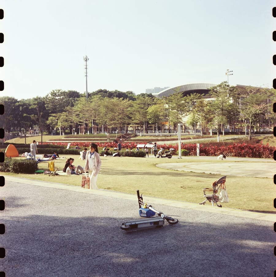 Afternoon in the park with warm sunlight — shot on Minolta Autocord