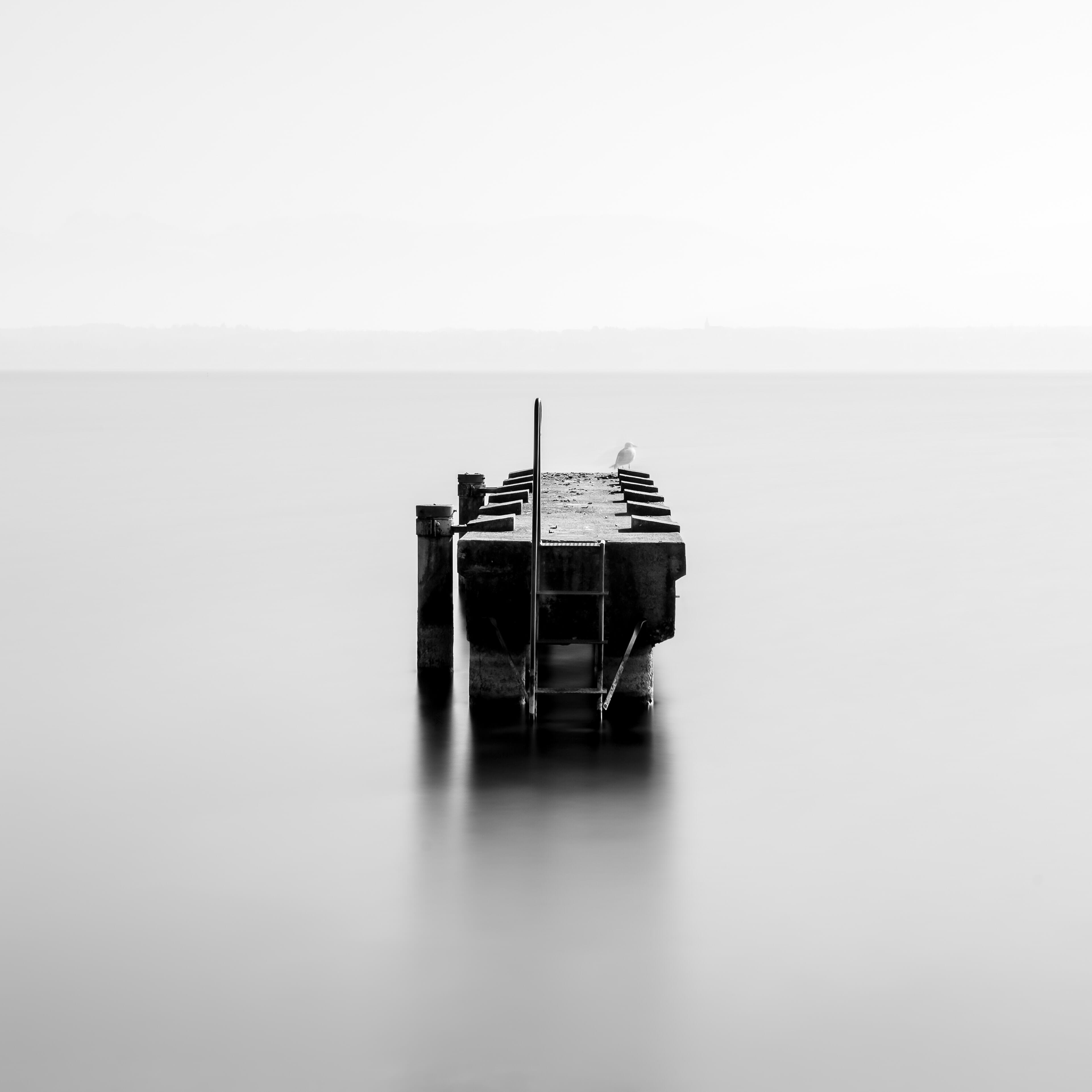 movement in photography 1422