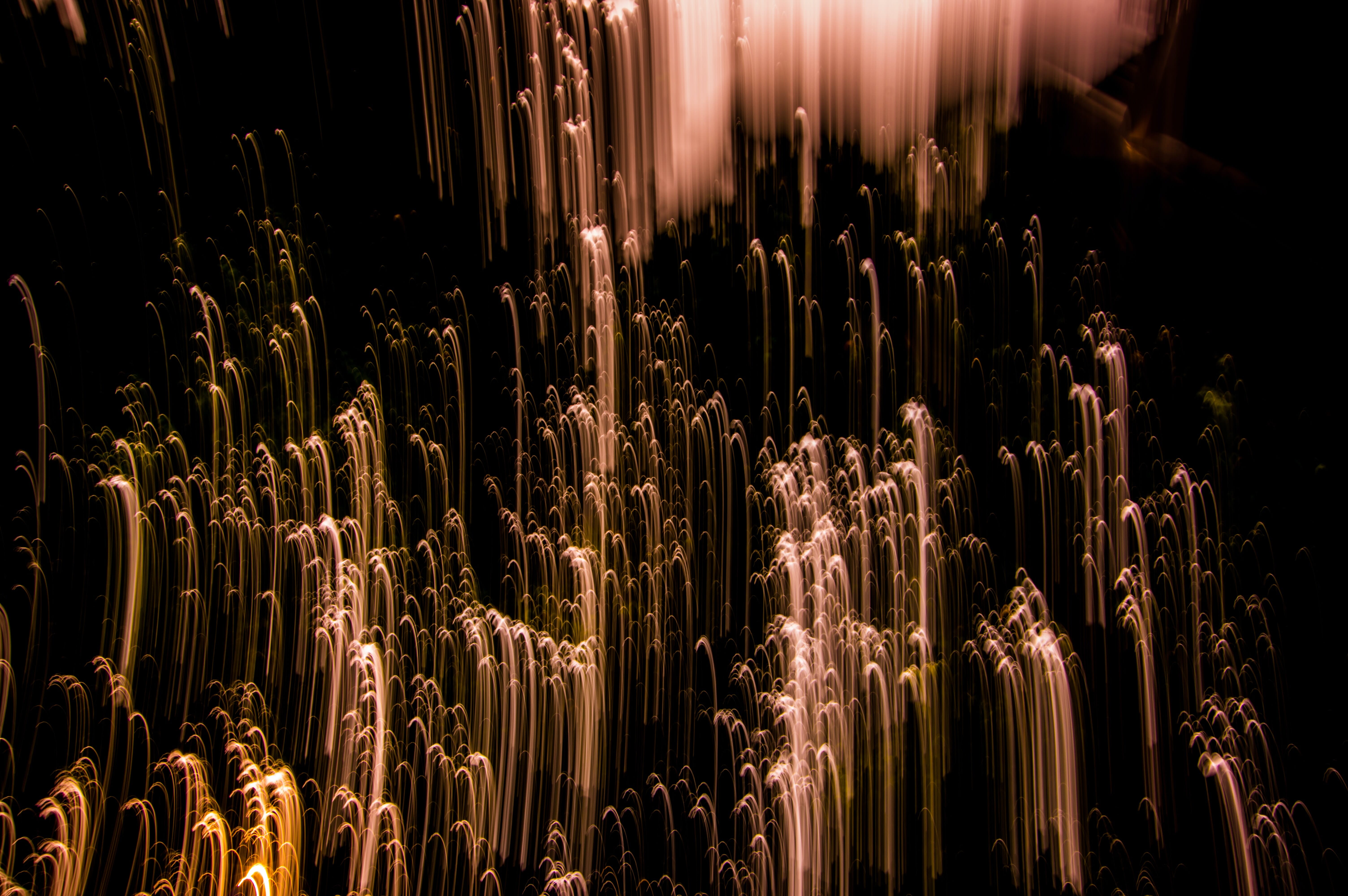 movement in photography 1542