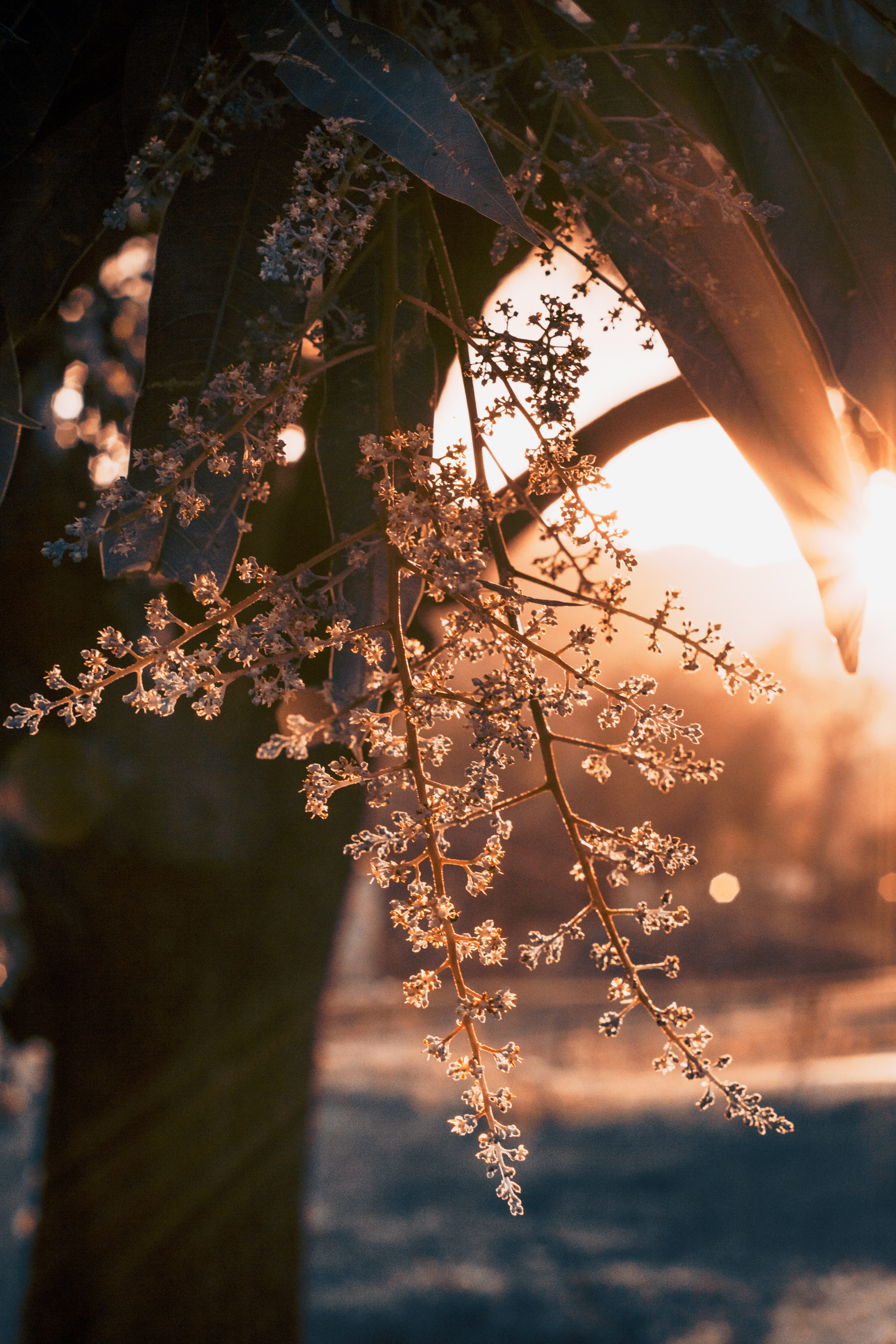 natural vs artificial light 12