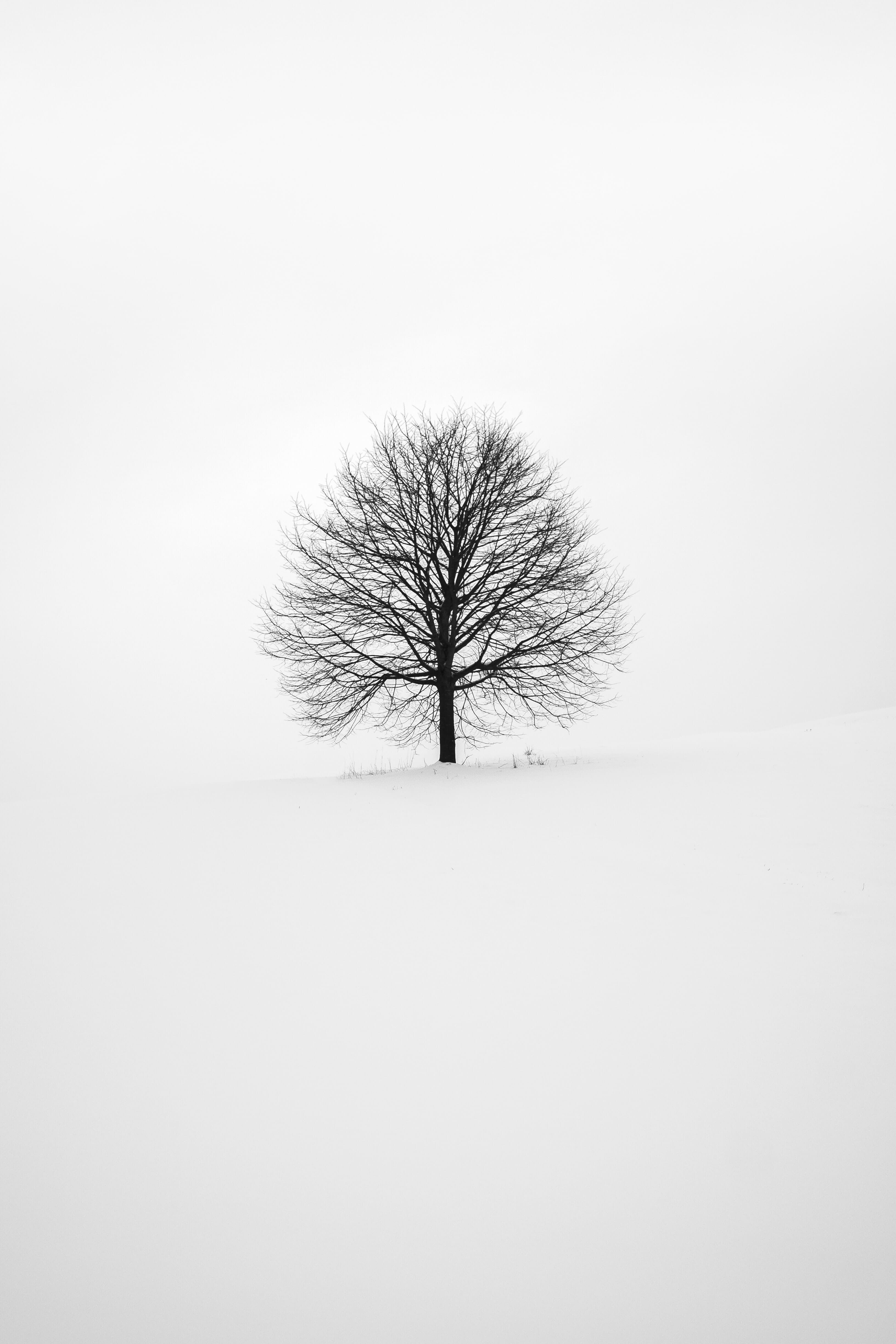 negative space in photography 14