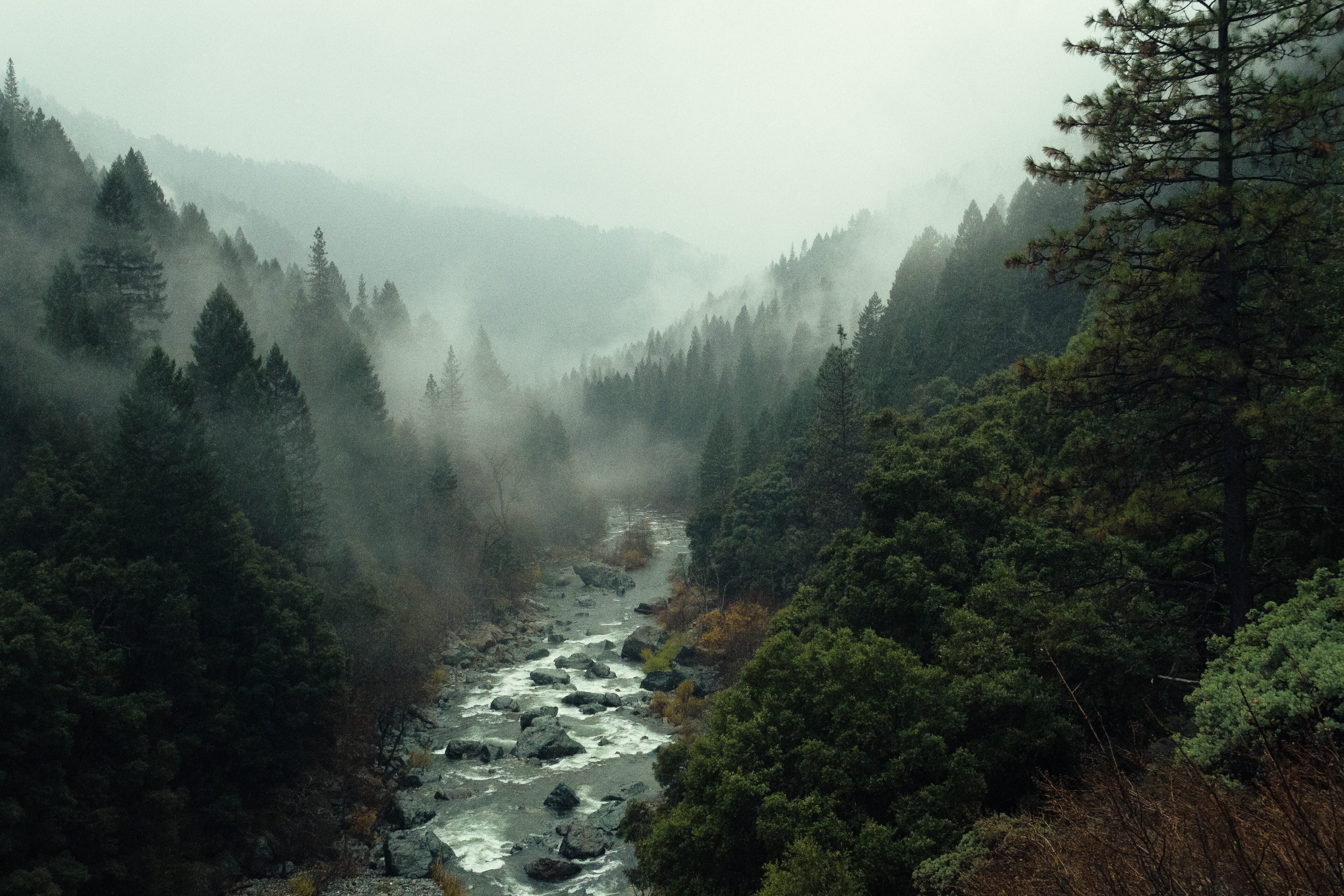 A rocky stream surrounded by conifers with fog and mountains in the distance.