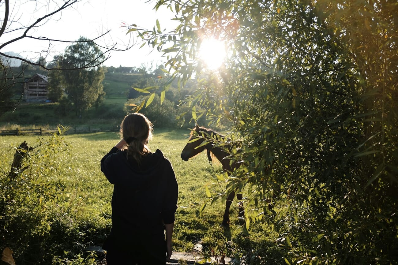 Woman in a field during golden hour with warm backlighting