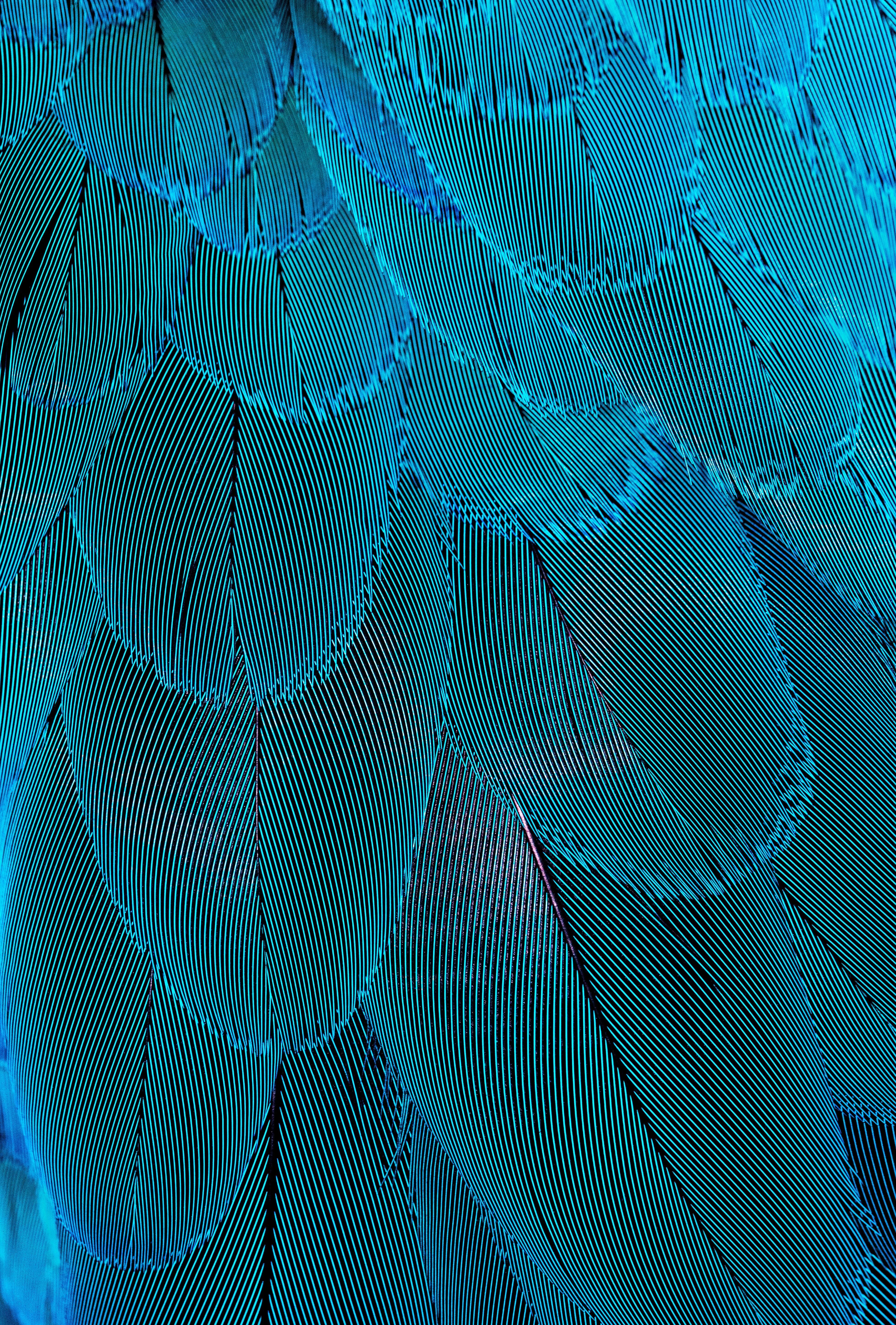 patterns in photography 15