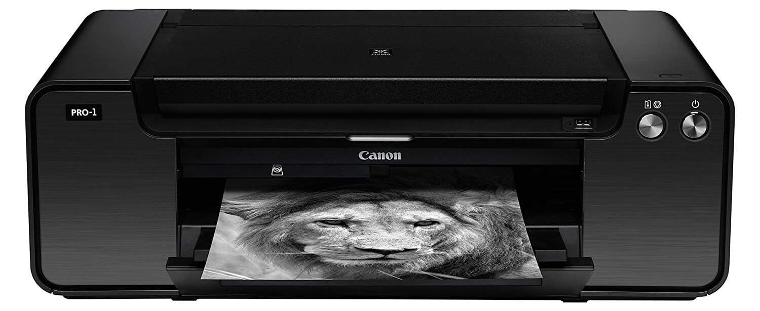 Photographers often wonder whether it makes sense to print from home.