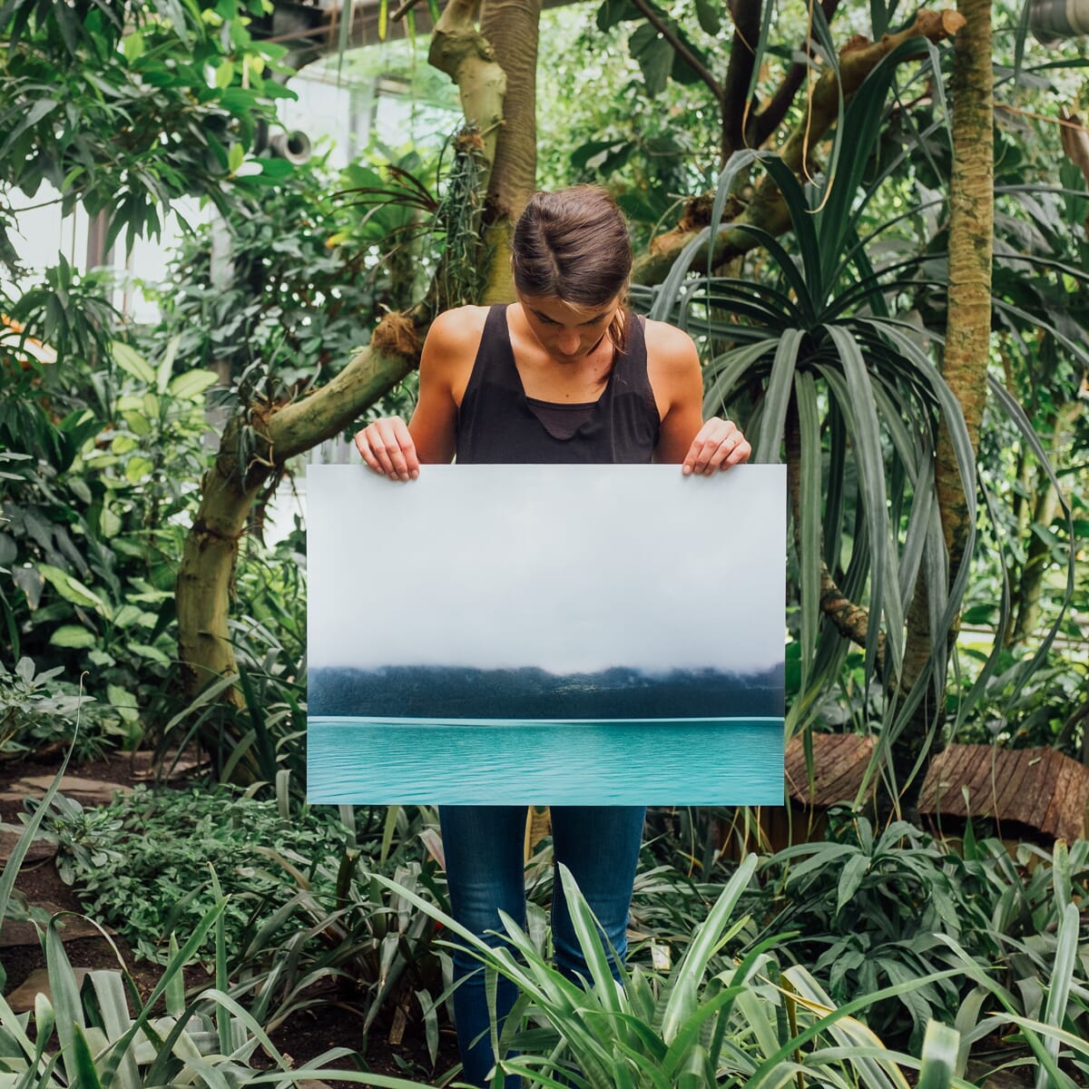 Metal prints look incredible!