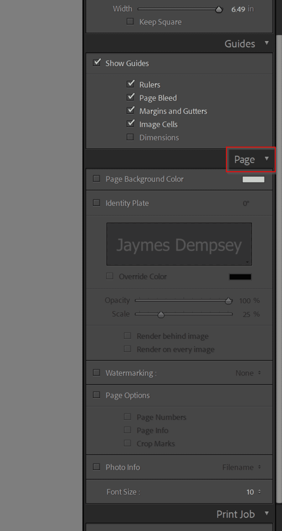 Page panel with watermark and identity plate options