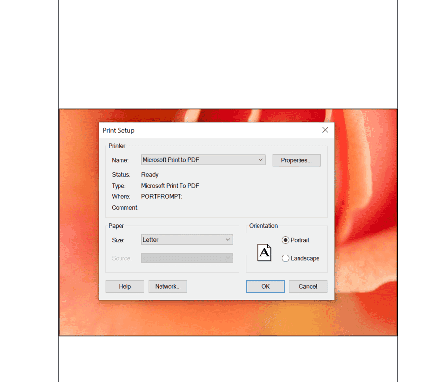 Page Setup paper size selection