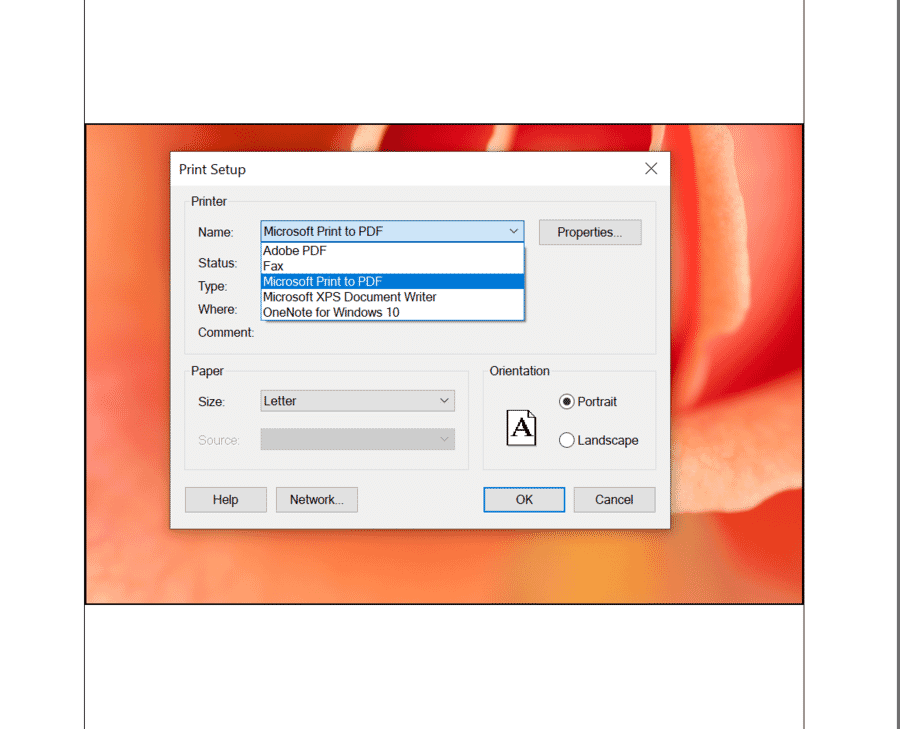 Page Setup printer dropdown