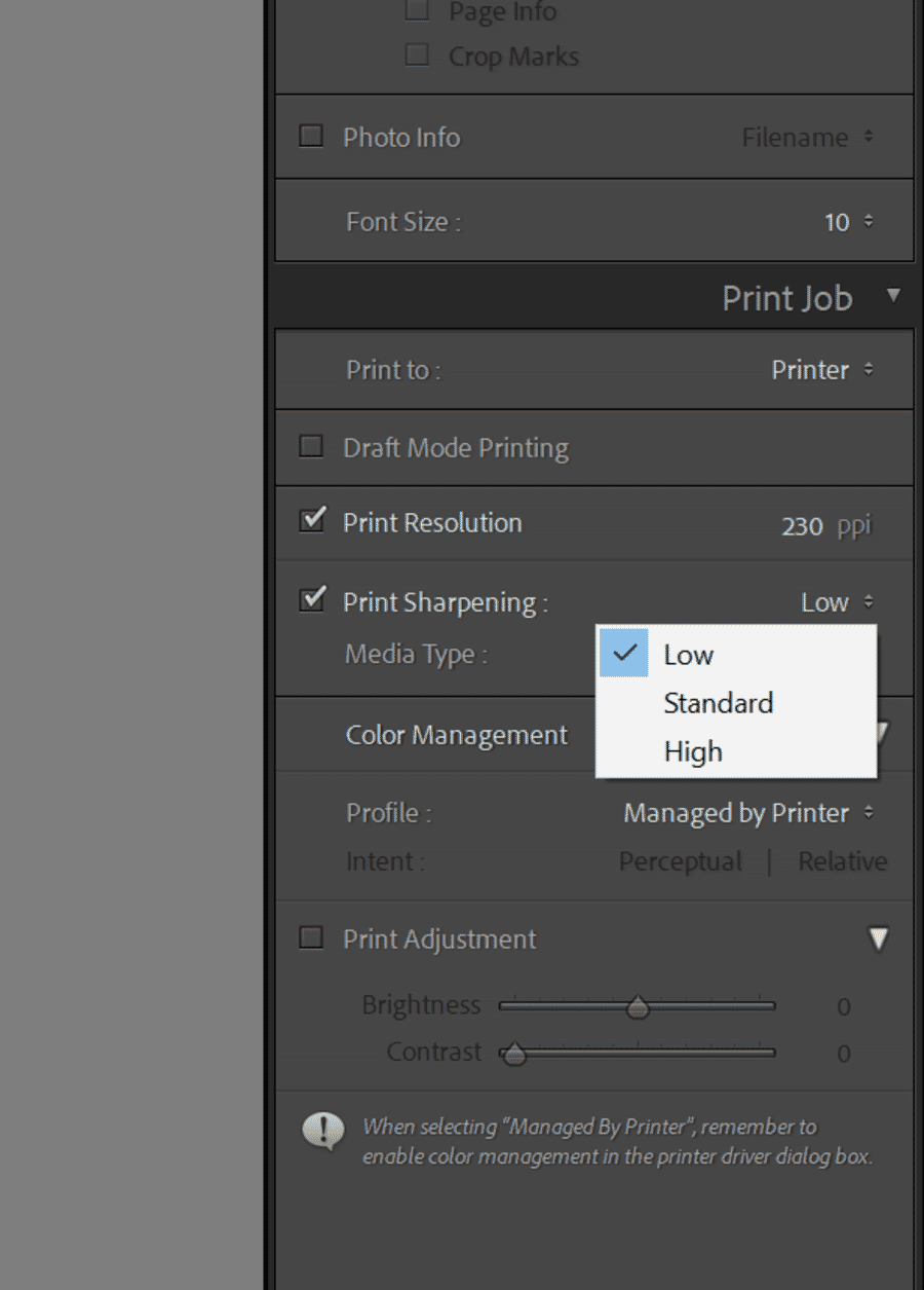 Print Job panel with Print Sharpening options