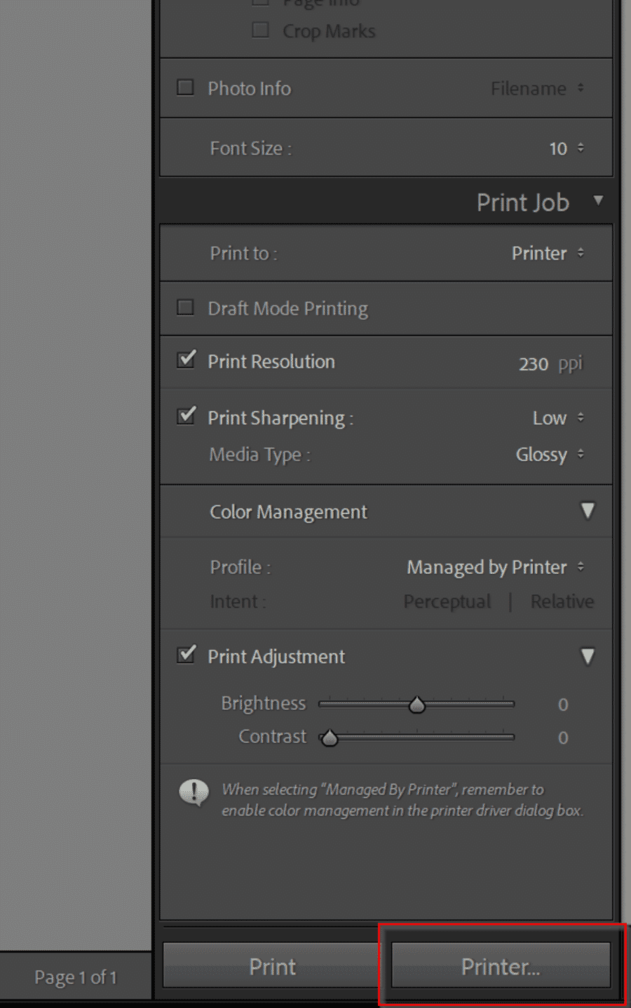 Printer button at the bottom of the right-hand panel