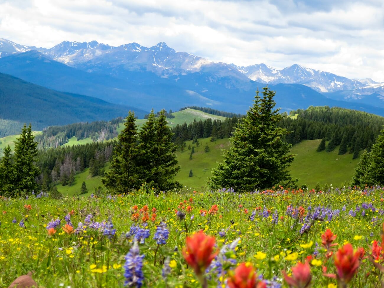 A vibrant meadow of wildflowers stretching toward distant mountain peaks, foreground blooms and far ridges both in focus, shot at f/4.5 · 1/1000 · ISO 320