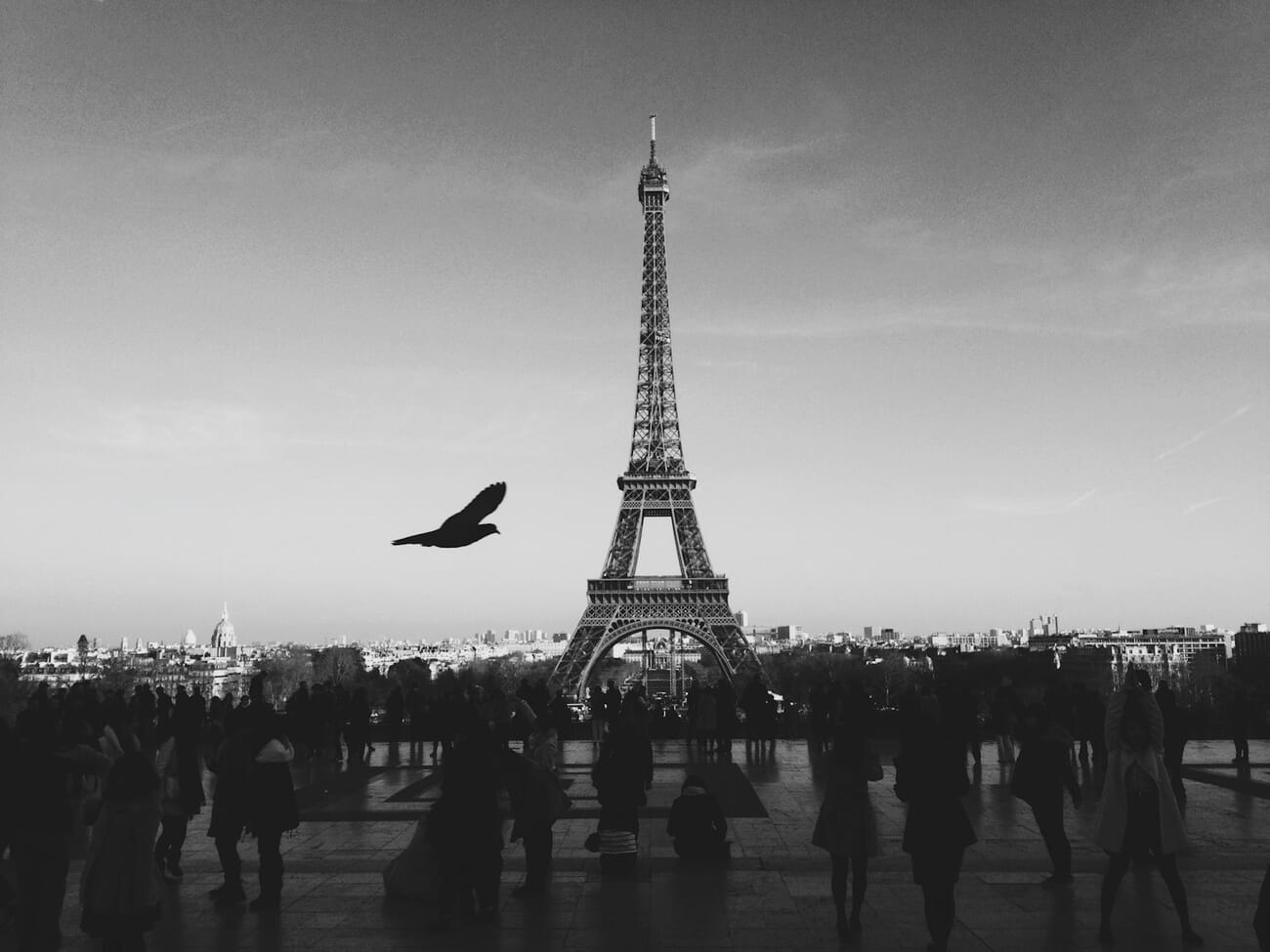 Eiffel Tower silhouette with bird flying past against bright sky shot on iPhone