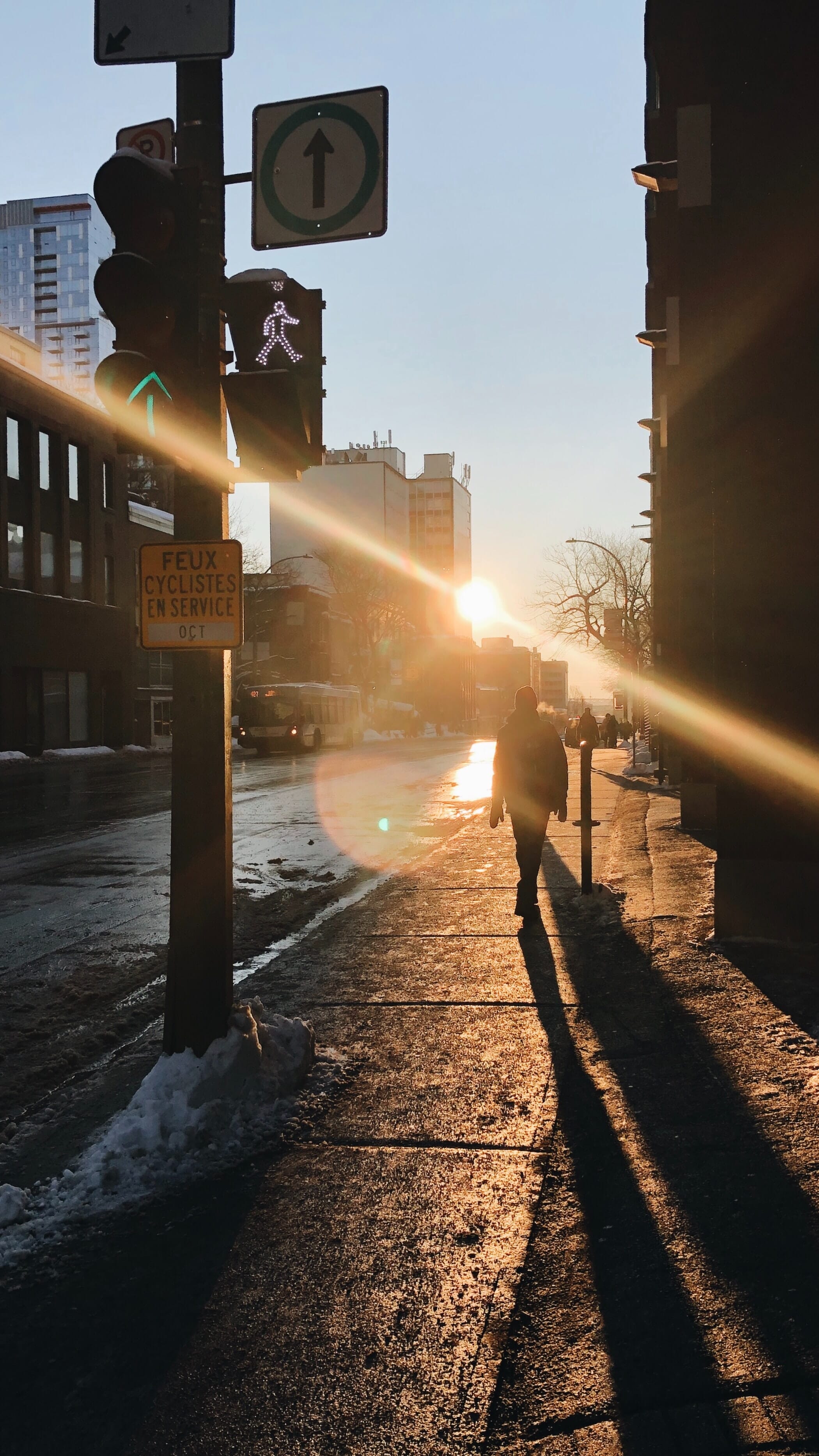Sun flare on street