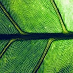 Textures in Photography: The Ultimate Guide