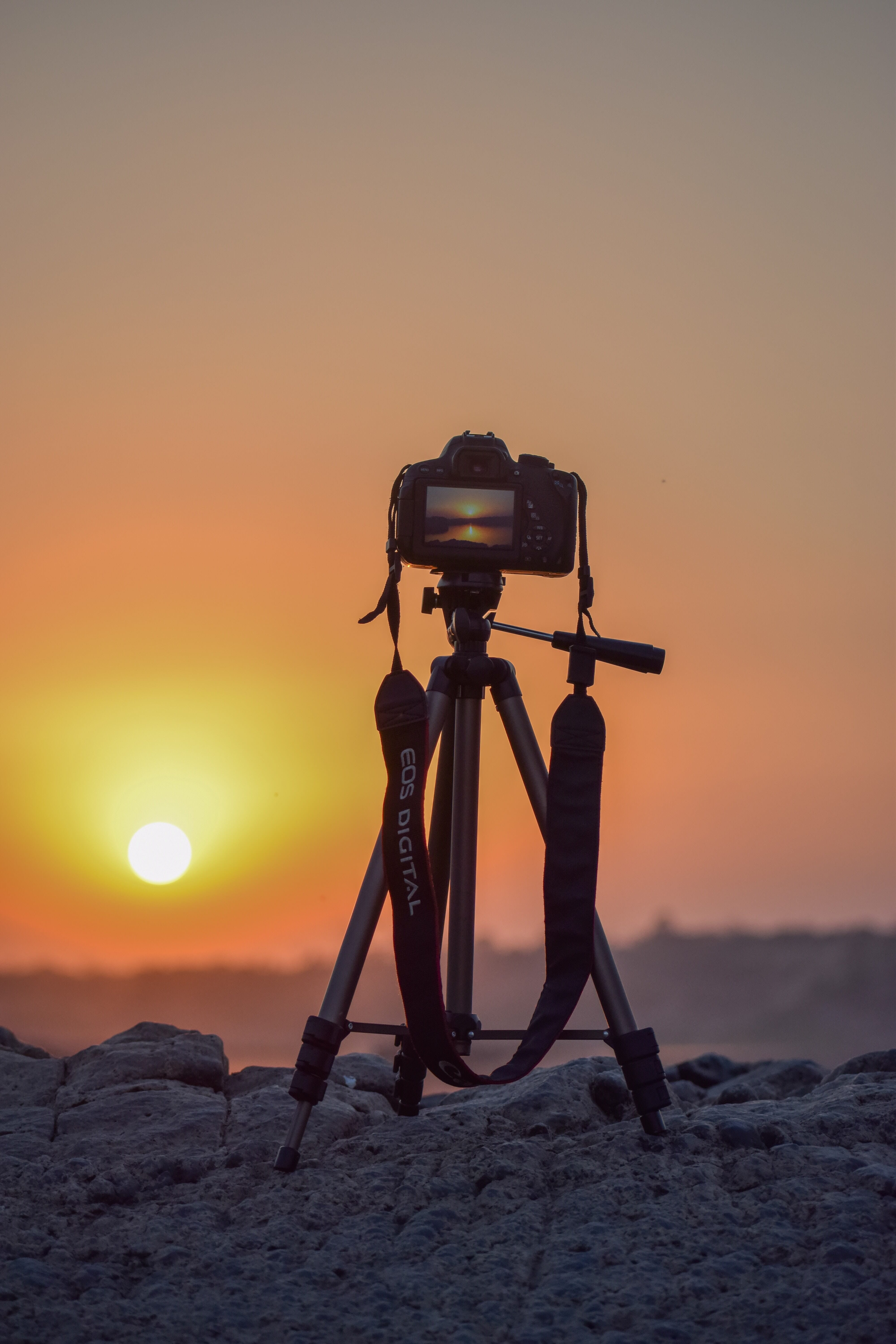 Tripod Vs Monopod: Which Option Is Right For You?