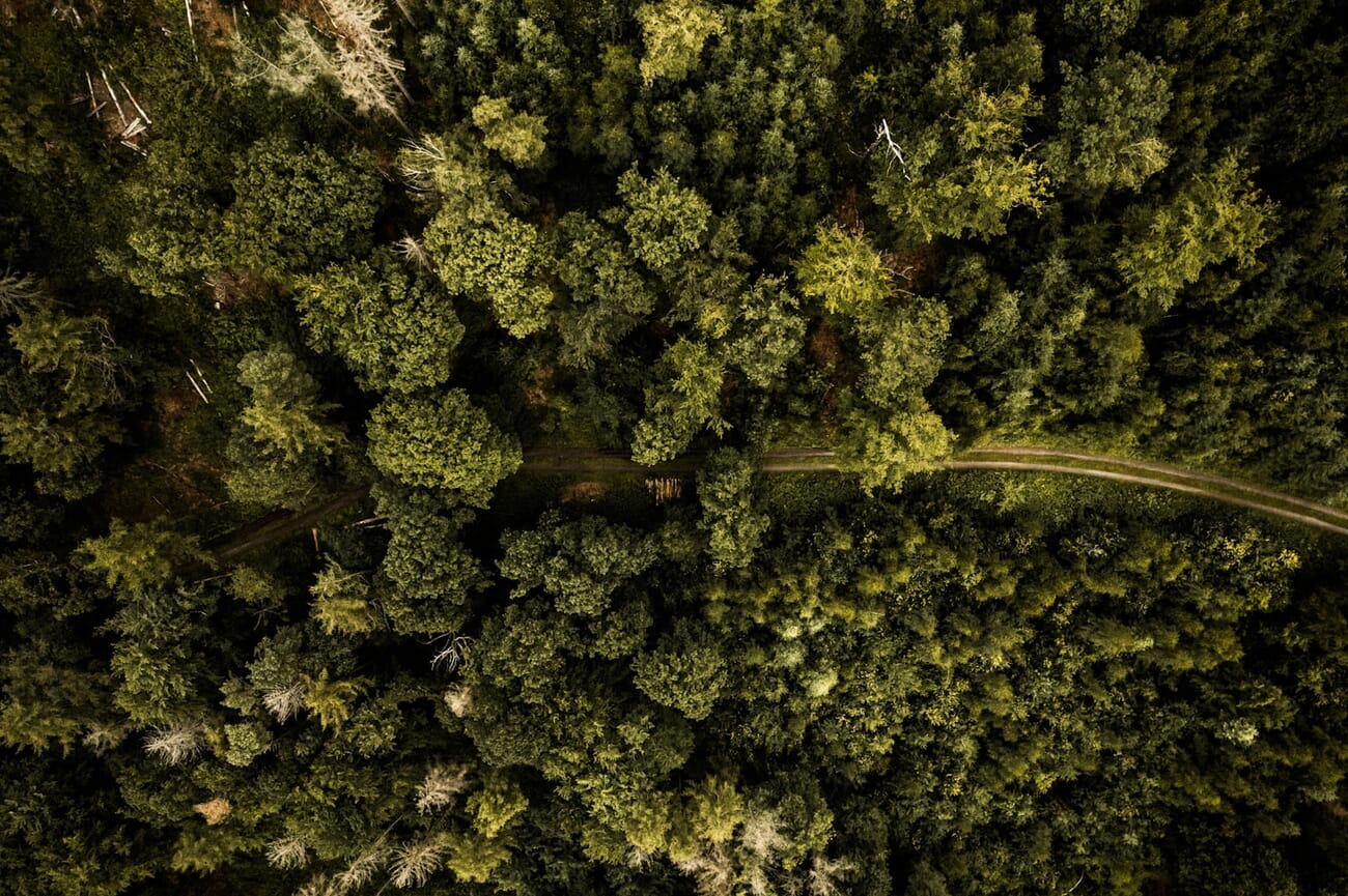 Drones unlocked bird's-eye framing for every photographer
