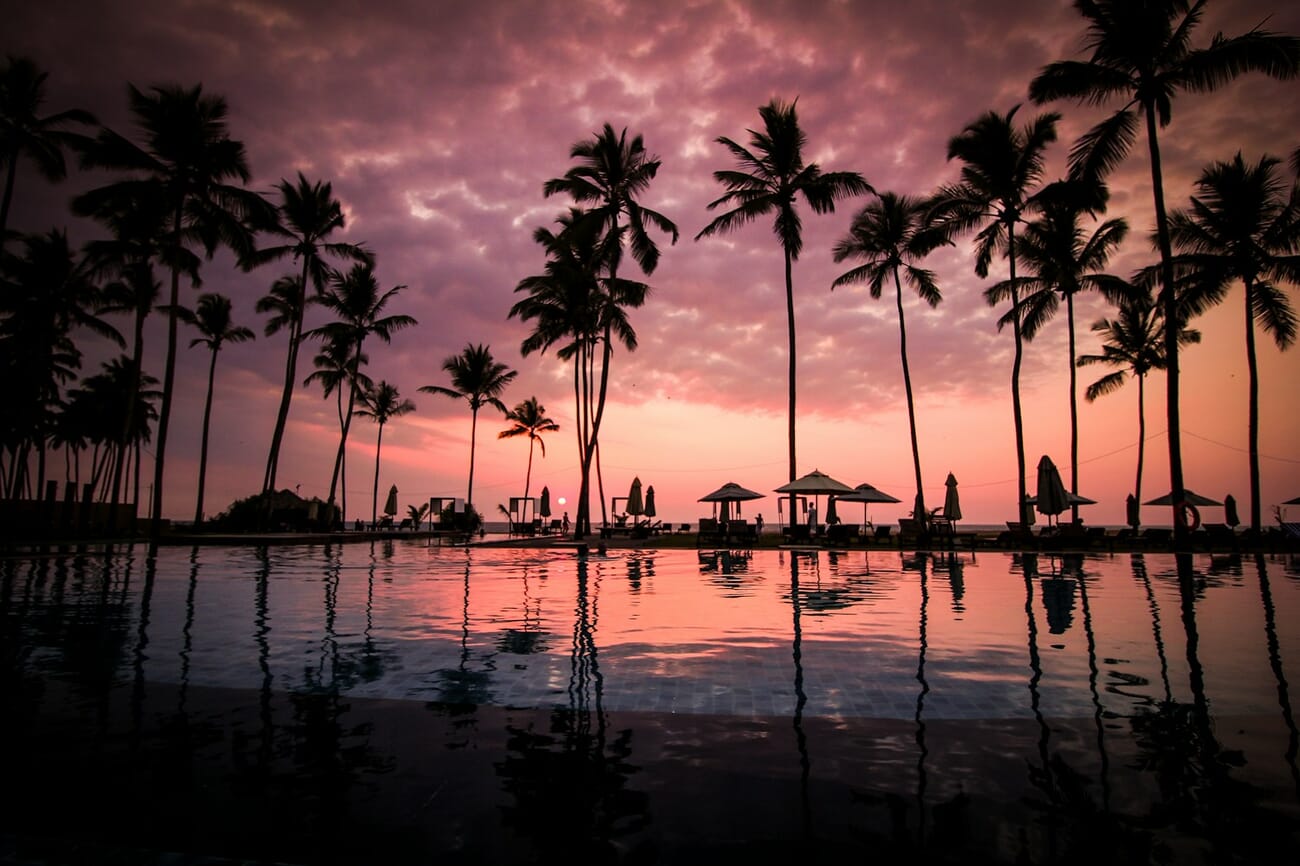 Poolside low-angle framing uses the water's edge as a leading line and the palms as framing elements overhead