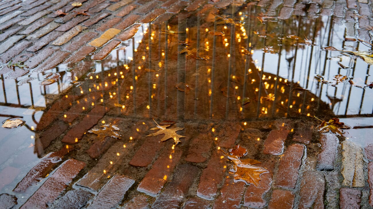 Rain-soaked cobblestones reflecting warm lantern light