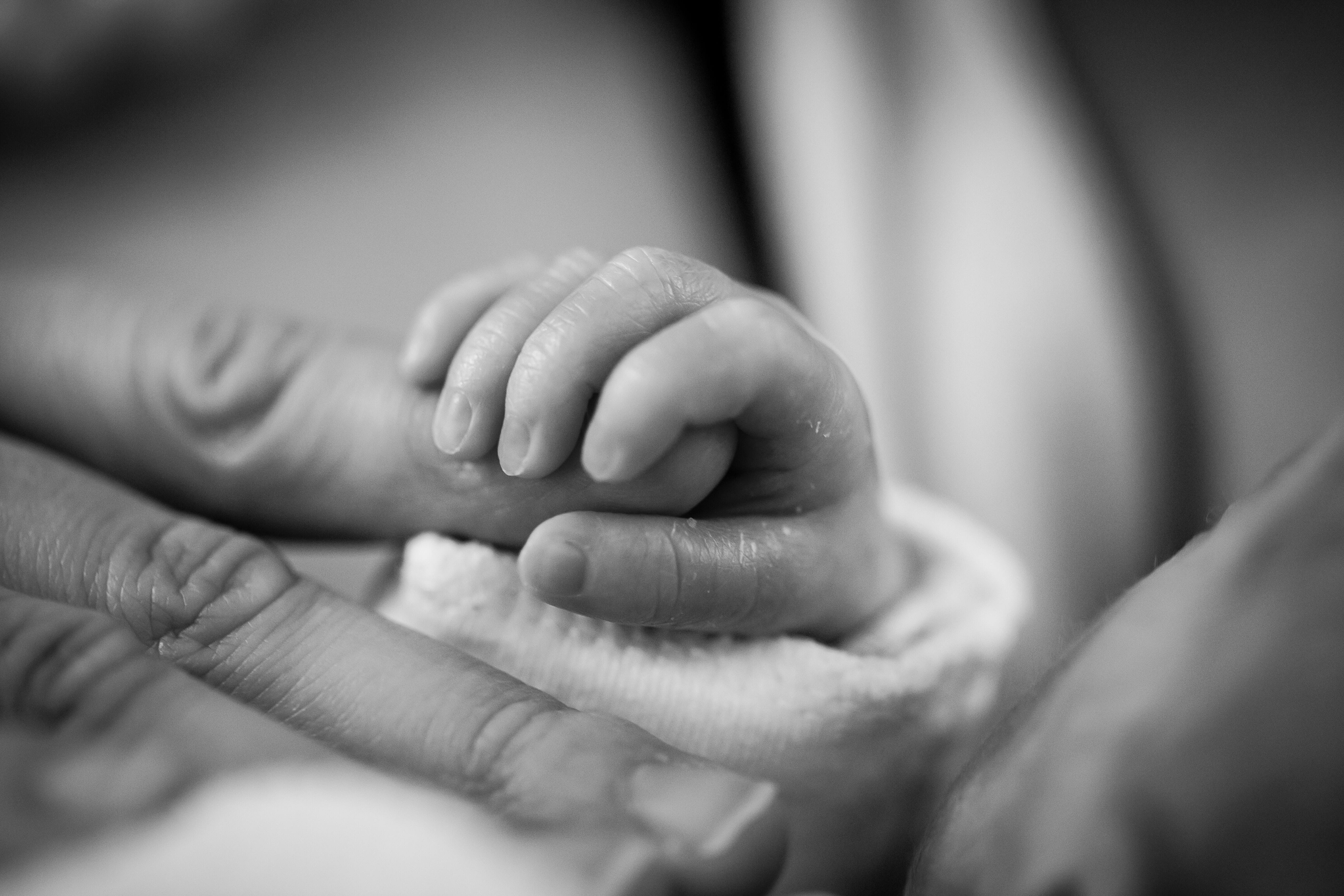 Capture those tiny hands!