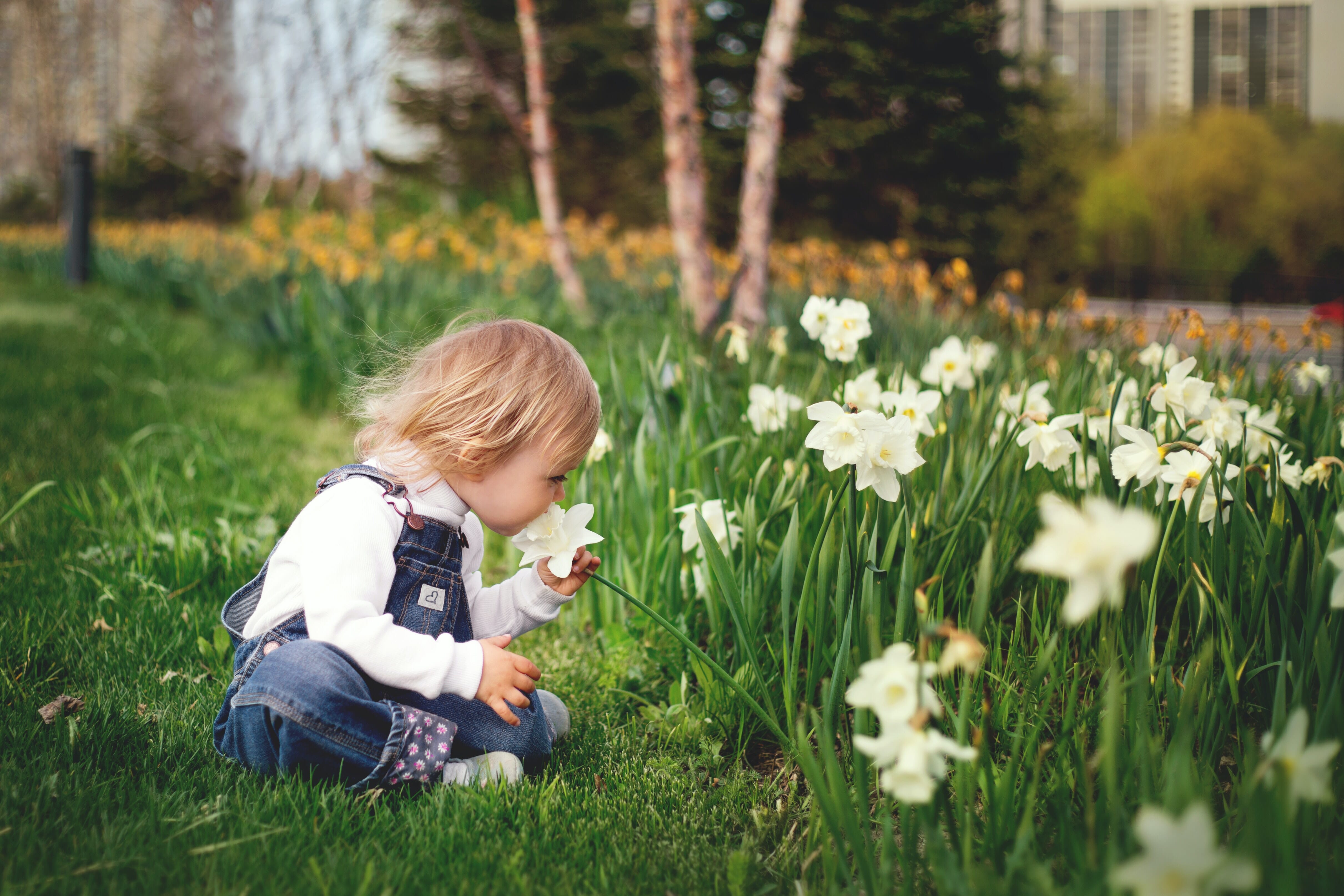 Stop and smell the roses.