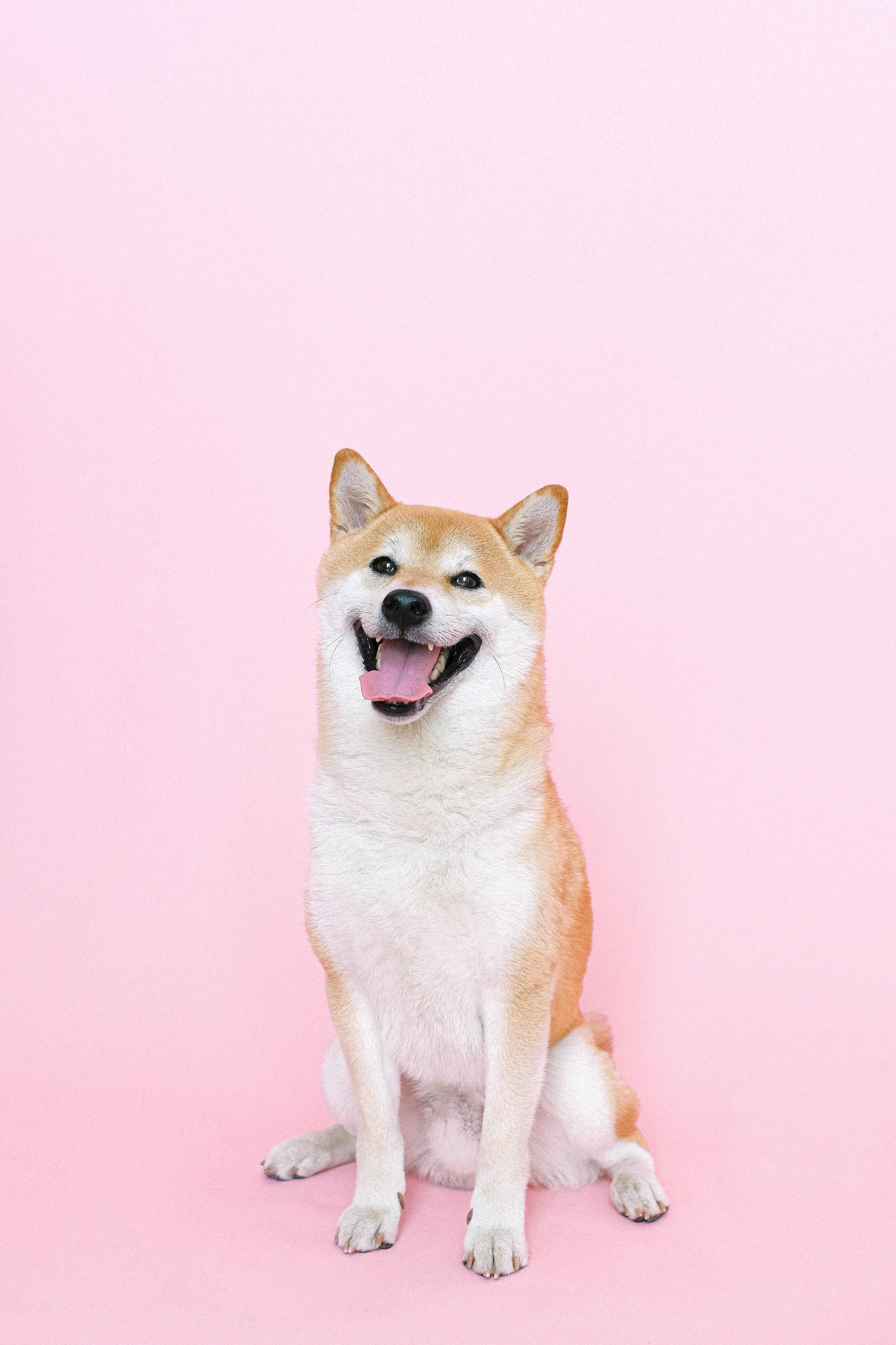 Capture the happiness!