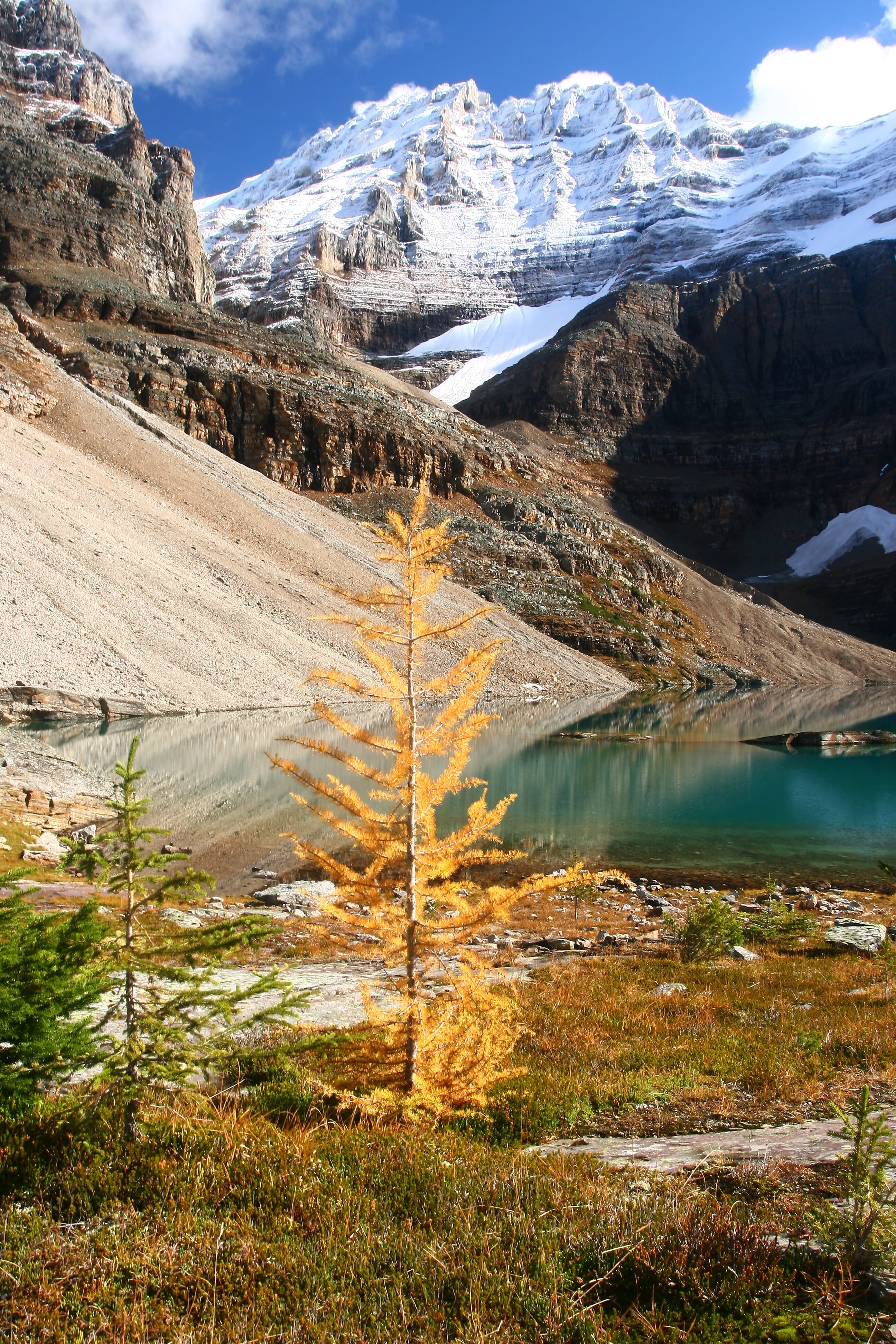 With the right landscape lens, you can capture stunning shots like this.